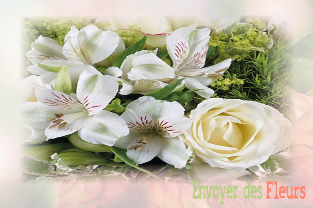 envoyer des fleurs à à MESNIL-SAINT-LAURENT